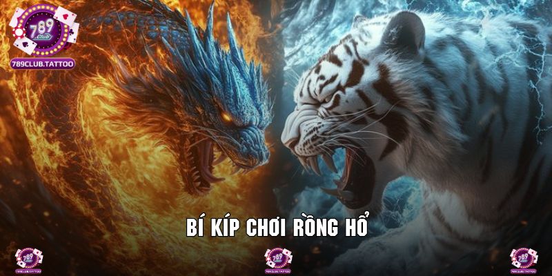 Bí kíp tham gia cược Dragon Tiger bất tử cùng 789Club